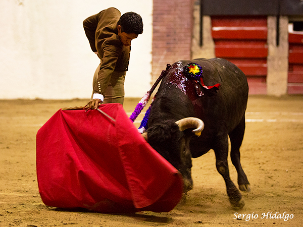 Con el p�blico en la bolsa