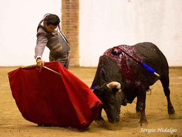 El profesionalismo de Jer�nimo