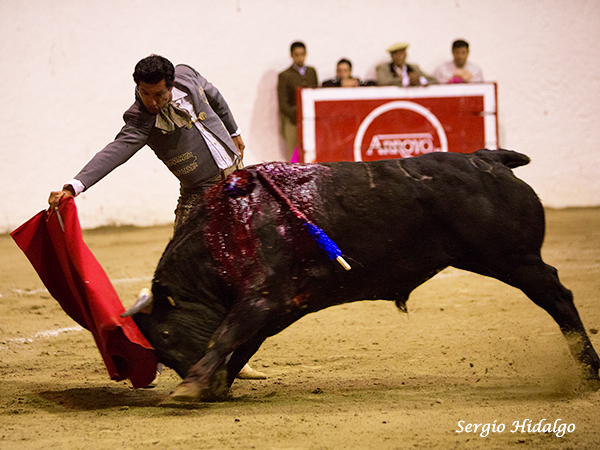 Buscando hacer faena