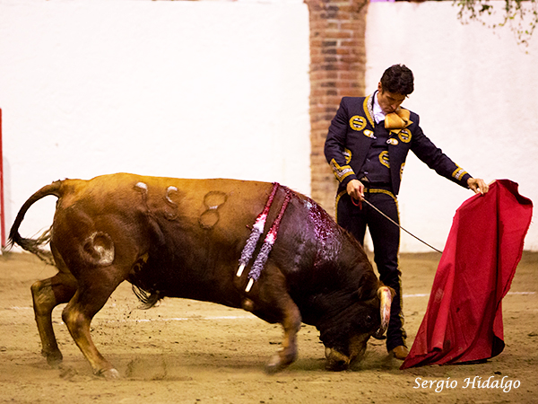 La madurez de Pizarro