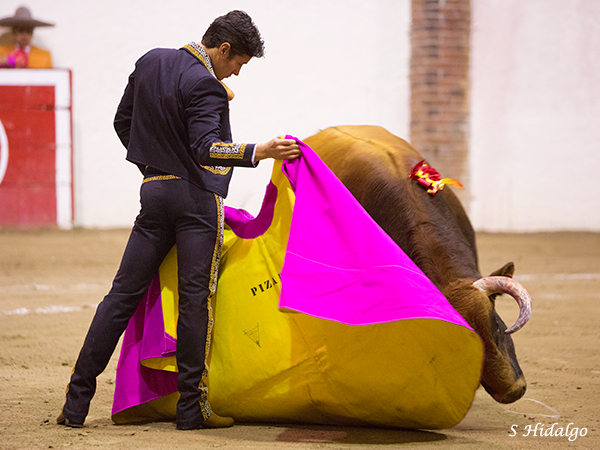 Relajamiento de planta