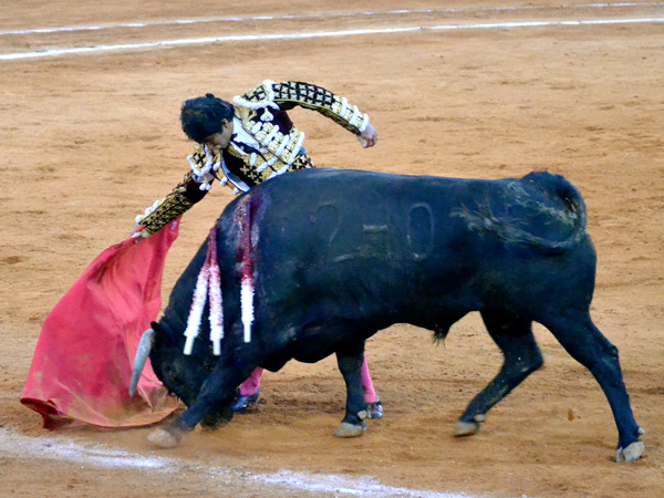 El sitio de Joselito