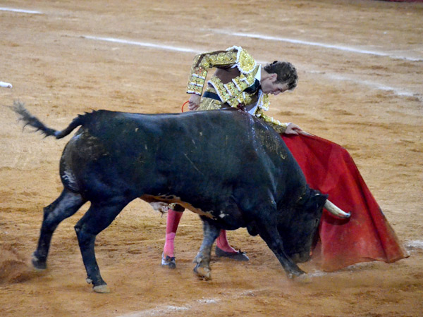 Gran campa�a para El Payo
