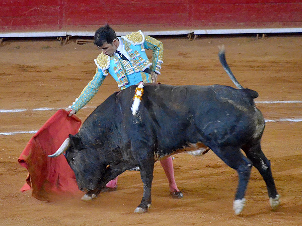 Mac�as, m�s reposado