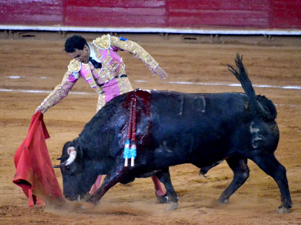 Sp�nola, toreo cl�sico