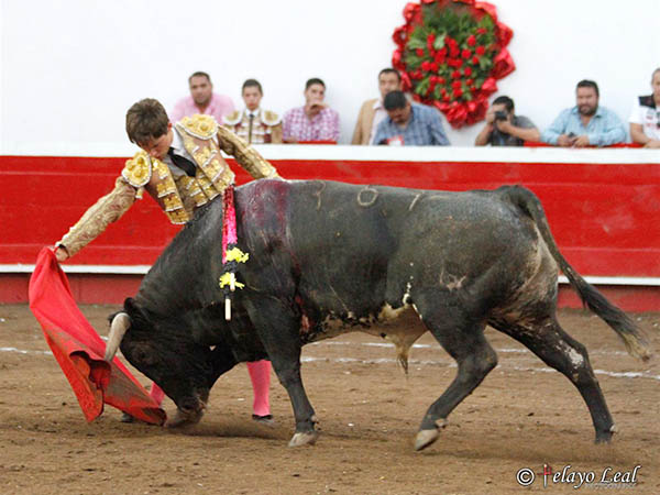 Un ejemplar de 440 kilos