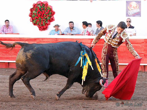 Le plant� cara al ejemplar