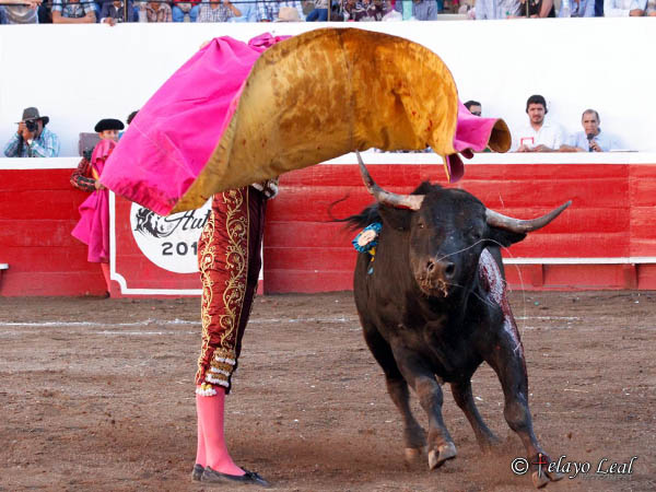 Los vuelos del percal