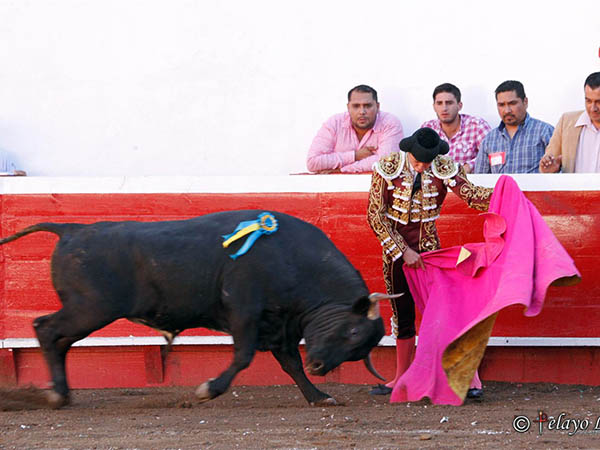 Ver�nicas de G�mez Vega