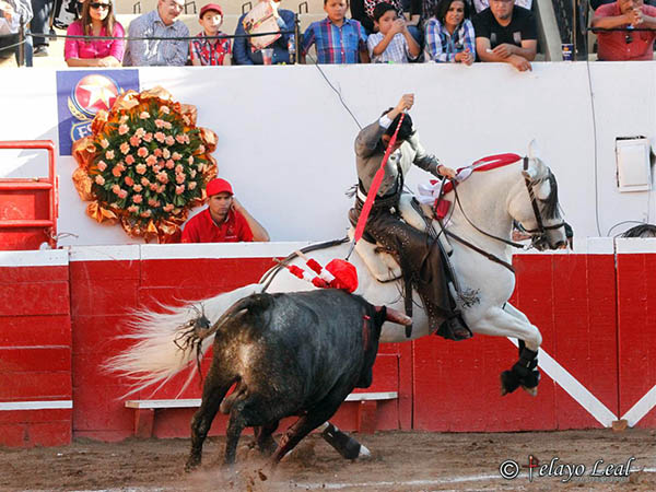 Oficiando la suerte suprema