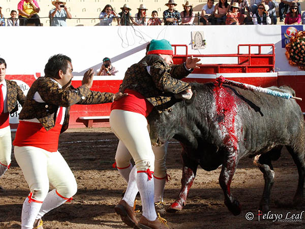 Valientes mazatlecos