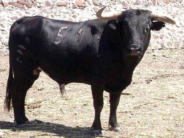 No. 51 (Tlaquepaque) La Cardenilla