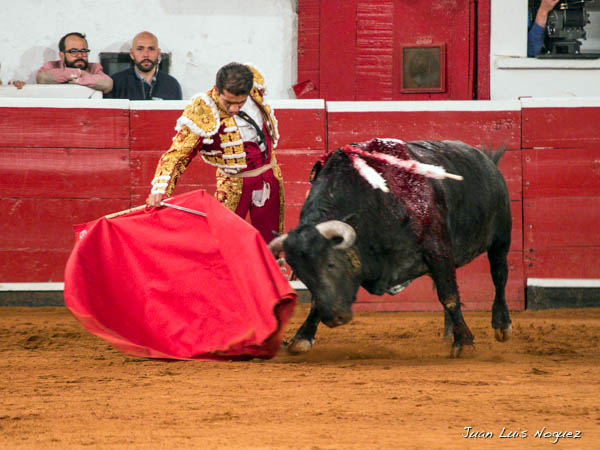 Determinaci�n y mando