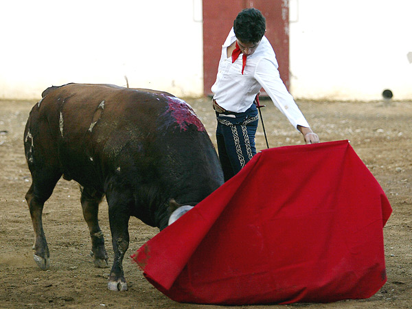 Otro natural con temple
