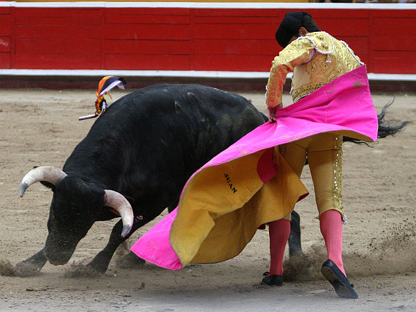 La media ver�nica de Solanilla