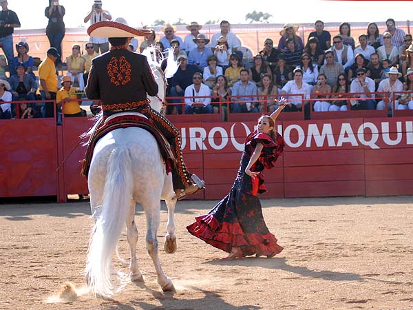 Toros, vinos, caballos y m�sica