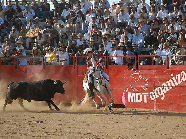 El rejoneador Gast�n Santos