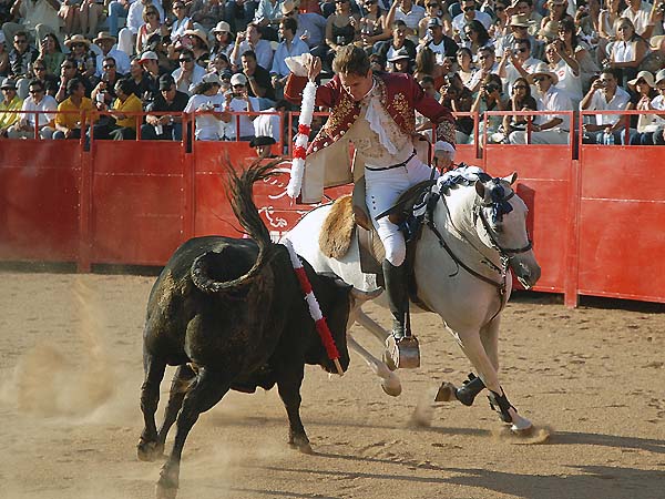 Runi�ndose con el toro