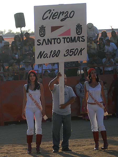 Anunciando al segundo