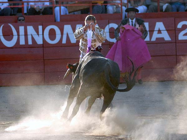 Melina, con las banderillas