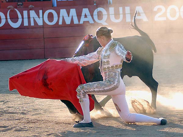 Probando la embestida