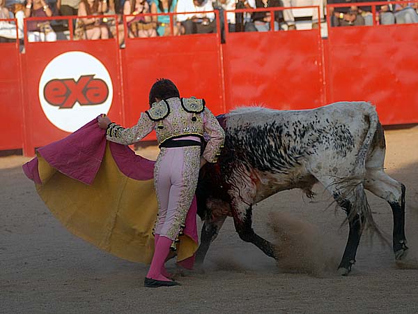 Michelito con el capote