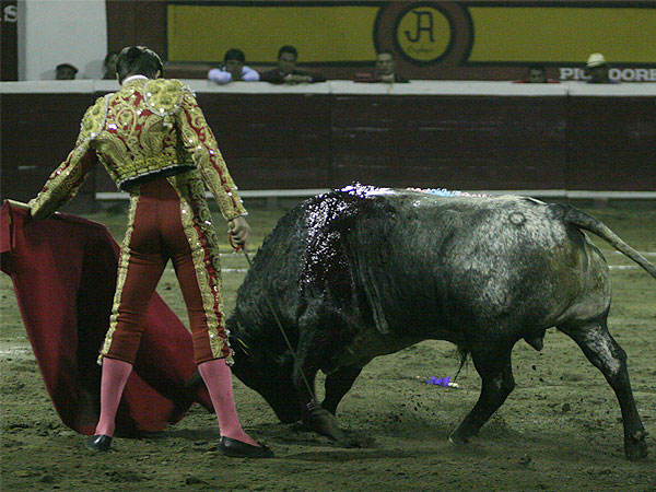 Embestidas de calidad