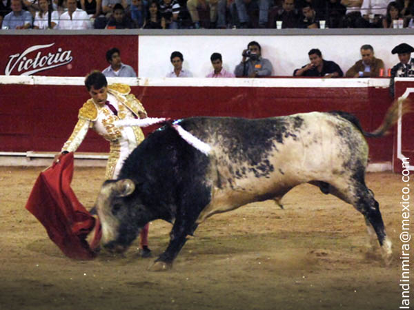 A seguir toreando