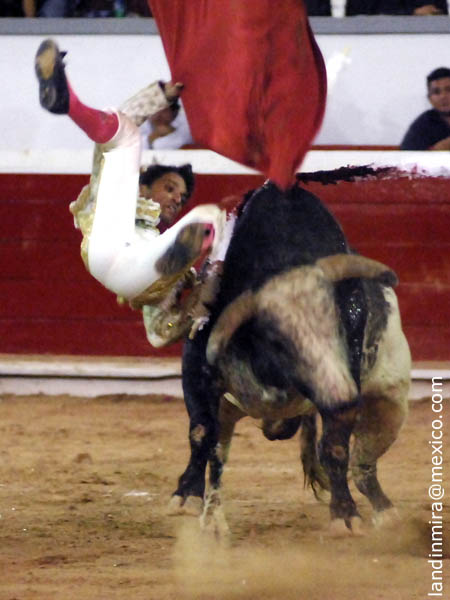 Cornada en la pantorrilla