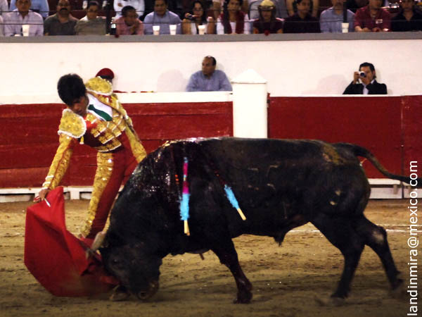 De nuevo por el derecho