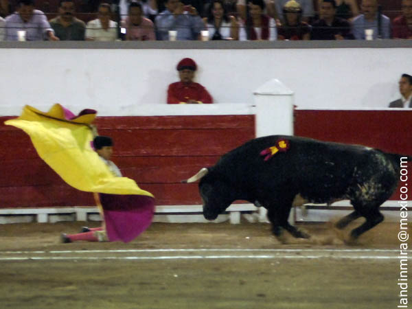 Al hilo de las tablas