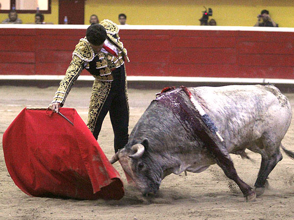 Derechazo al c�rdeno