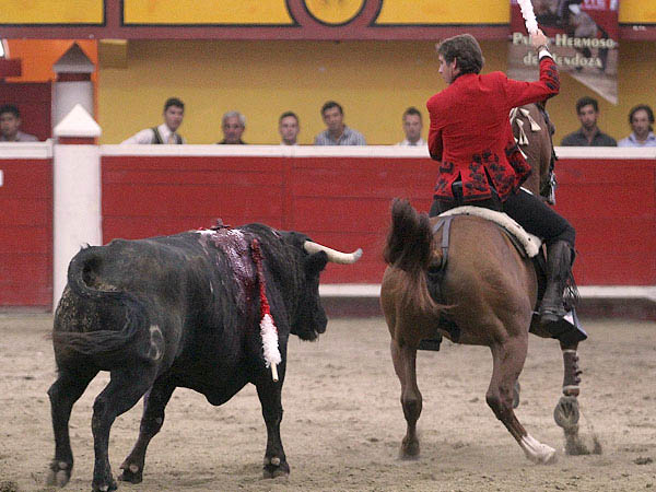 El enga�o en las crines