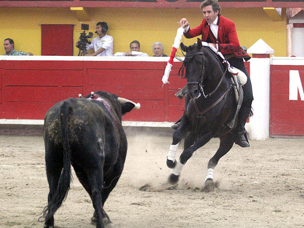 Fundidos, jaca y jinete
