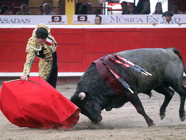 Humillado en la embestida