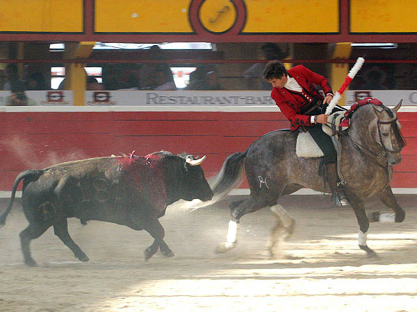 Carbonero de costado