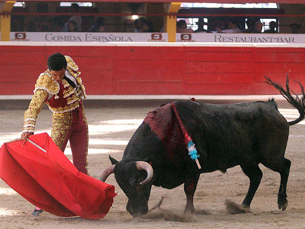 Tirando del ejemplar