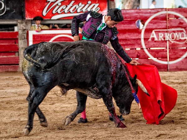 Llevando bien la embestida Amador