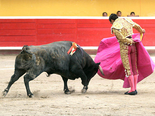 Lances de Jaime Ruiz