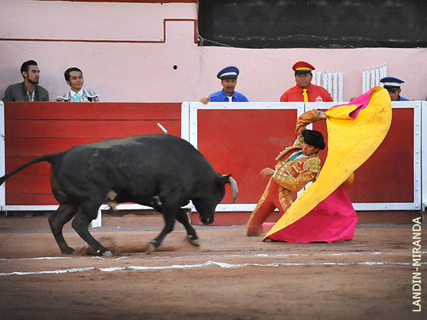 Larga de hinojos de Garay