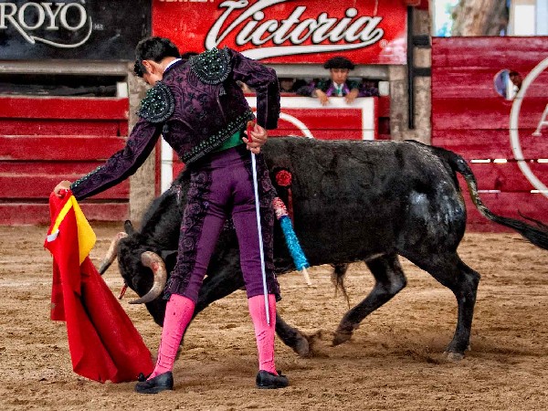 Sorprendi� este muchacho