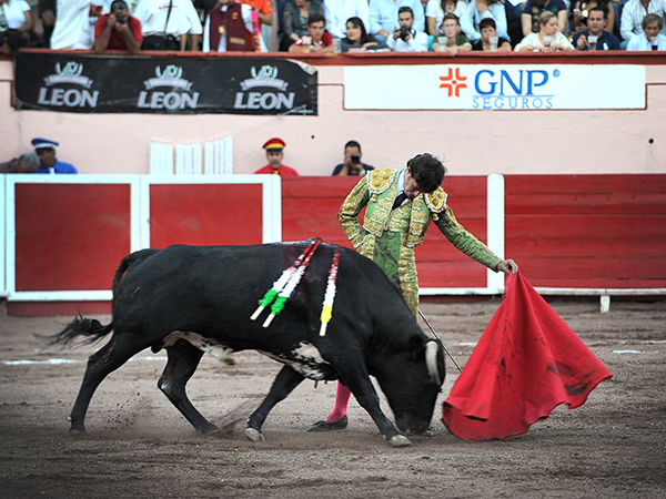 Poco le reconoci� el respetable