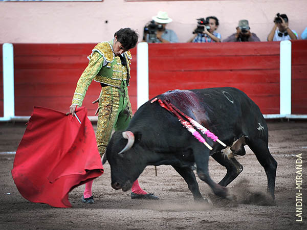 Calidad en ejemplar y toreo