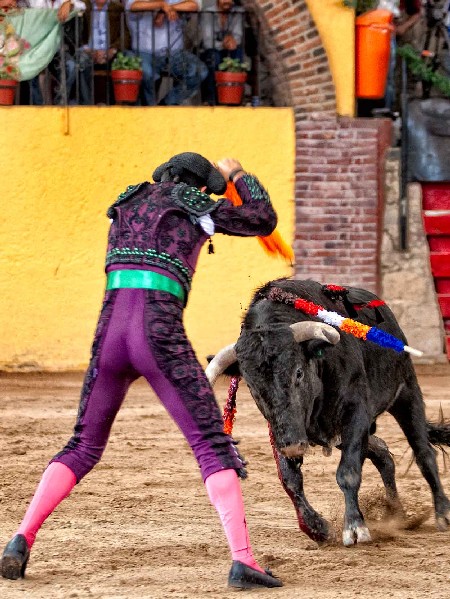 Heterodoxo con las banderillas