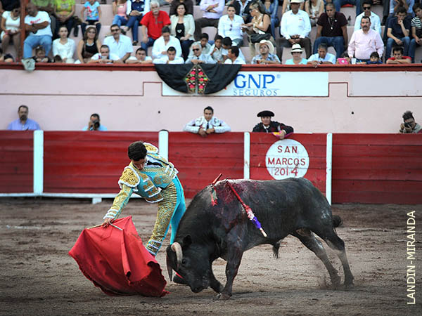 Trasteo en los medios