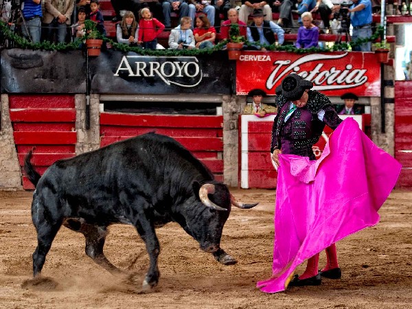 Sus primeros capotazos de novillero