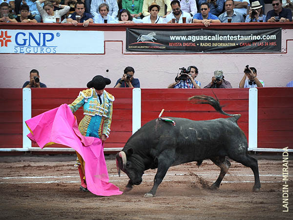 Mendoza a la ver�nica