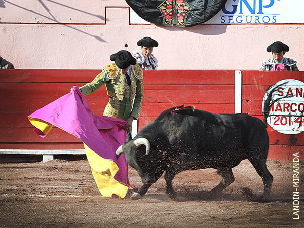 Tulio, de regraeso en 