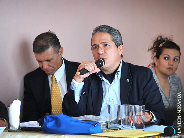 Informe del representante ejecutivo