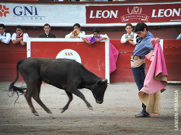 Lances de Fernando V�zquez